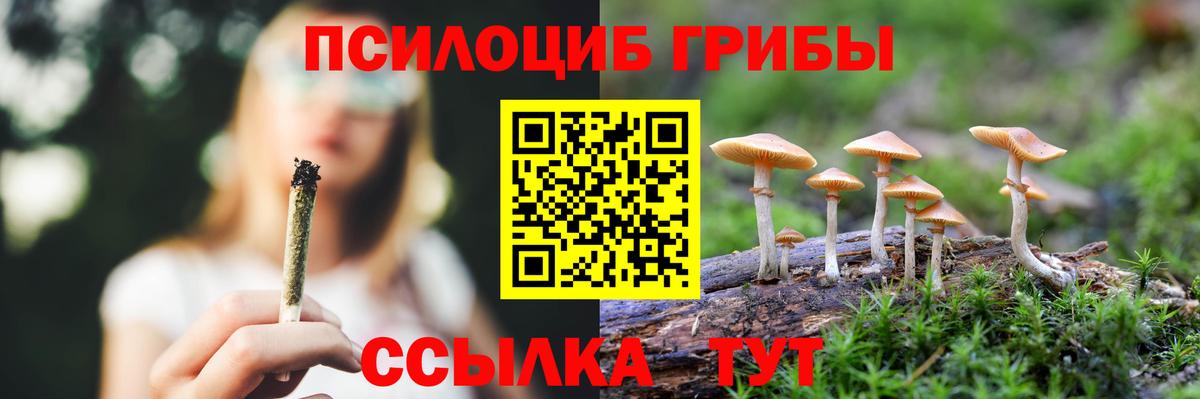 Обнинск  Галлюциногенные грибы Magic Shrooms  Вход с VPN  Псилоцибиновые грибы мицелий 